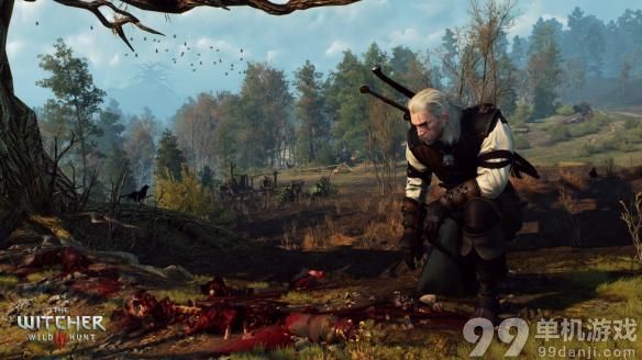 巫师3负重999MOD下载地址分享