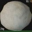 人渣SCUM怎么区分毒蘑菇 人渣SCUM可食用蘑菇以及毒蘑菇一览