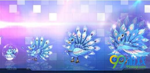 QQ飞车孔雀翎王怎么获得 QQ飞车孔雀翎王多少钱