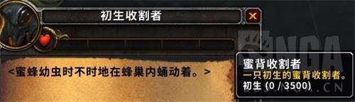 魔兽世界8.2.5速刷小蜜蜂坐骑攻略 魔兽世界8.2.5小蜜蜂坐骑快速获取指南