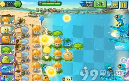 植物大战僵尸2中文版巨浪沙滩第21天过关攻略