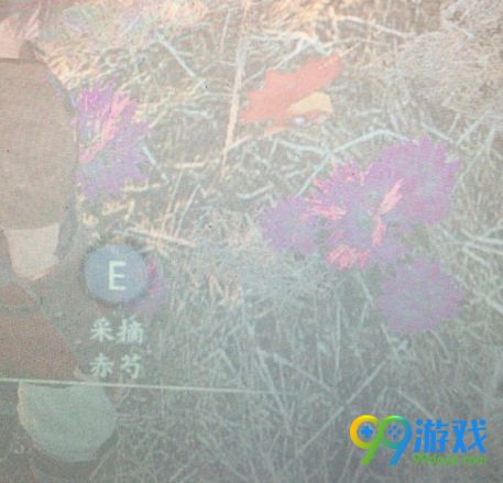 河洛群侠传真弱鸡侠称号怎么得 公鸡大红花任务怎么触发