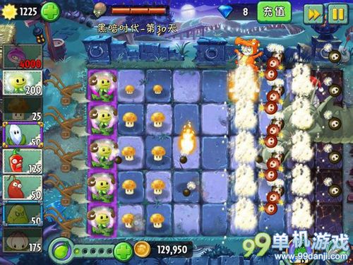 植物大战僵尸2蒲公英过黑暗时代第30天攻略
