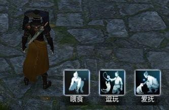 逆水寒大宋铲屎官称号怎么得 逆水寒怎么提升小猫好感度