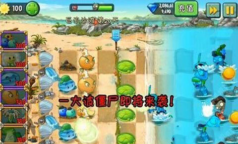 植物大战僵尸2中文版巨浪沙滩第20天攻略