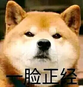 codol勇者模式如何卡枪 使命召唤勇者模式卡枪bug教学