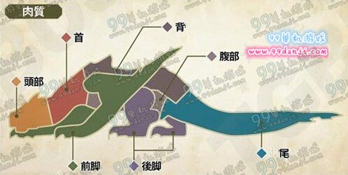 怪物猎人ol轰龙肉质表 肉质部位对比图