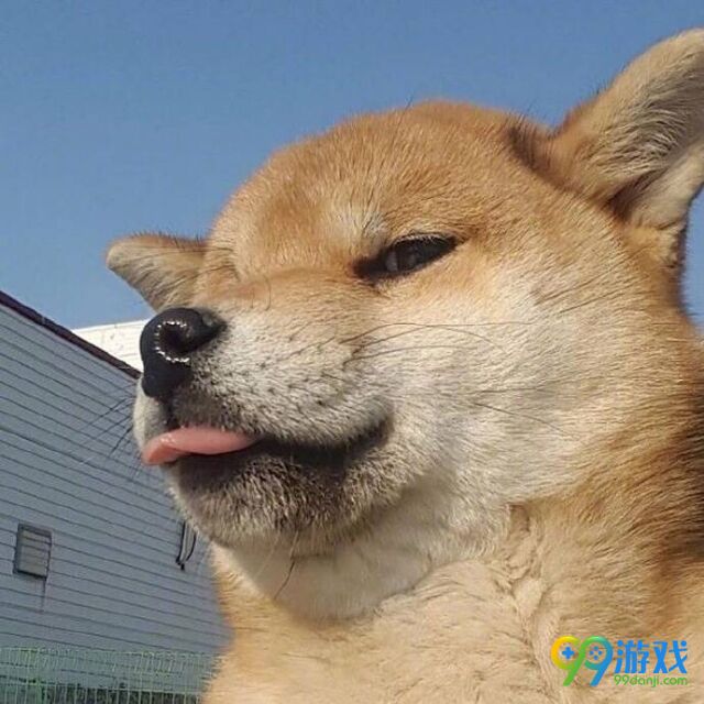 绝地求生怎么样设置对cpu压力小 绝地求生低配电脑怎么玩