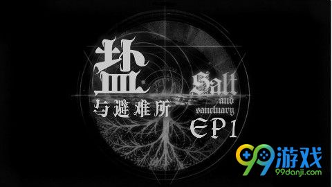 盐和避难所全戒指护符效果一览 戒指护符怎么获得