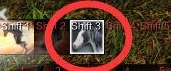 上古世纪坐骑马怎么获得?上古世纪坐骑怎么培养?