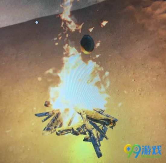 荒岛求生V0.24生火方法分享 荒岛求生怎么生火