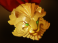 DOTA27.00改动日志 DOTA27.00改动日志一览
