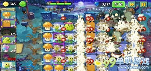 植物大战僵尸2黑暗时代第29关蒲公英过关攻略