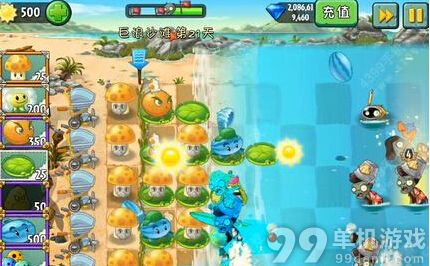 植物大战僵尸2中文版巨浪沙滩第21天过关攻略