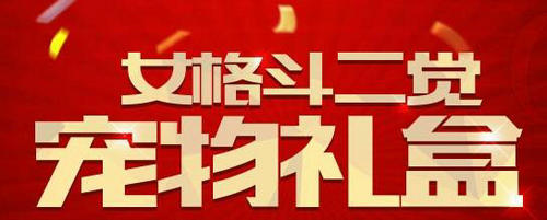 DNF女格斗二觉宠物礼盒获得方法与内容介绍