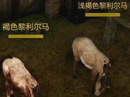 上古世纪坐骑马怎么获得?上古世纪坐骑怎么培养?