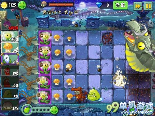 植物大战僵尸2蒲公英过黑暗时代第30天攻略