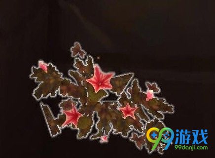 魔兽世界8.0星光苔在哪里 魔兽世界8.0星光苔采集地点一览