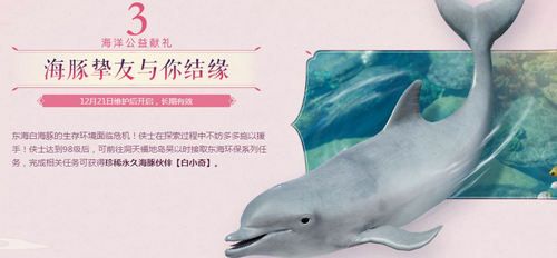 剑网3白小奇海豚怎么得 剑网3白小奇海豚获取攻略