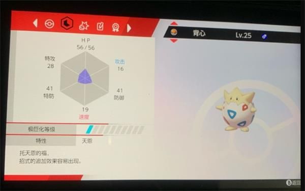 宝可梦剑盾天恩波克比怎么获得 宝可梦剑盾天恩波克比获得攻略