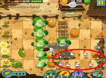 植物大战僵尸2怎么对付僵尸鸡 僵尸鸡怎么打