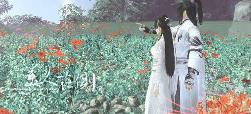天涯明月刀开学幸运星活动奖励介绍