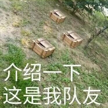 绝地求生大逃杀落地成盒是什么意思 绝地求生大逃杀落地成盒意思介绍