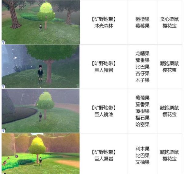 宝可梦剑盾迦勒尔地区各果树掉落什么 宝可梦剑盾迦勒尔地区全树果掉落汇总