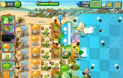 植物大战僵尸2中文版巨浪沙滩第12天攻略