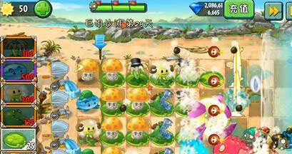 植物大战僵尸2中文版巨浪沙滩第29天攻略