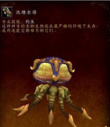 魔兽世界7.3池塘水母坐骑在哪钓 魔兽世界7.3池塘钓水母坐骑位置介绍