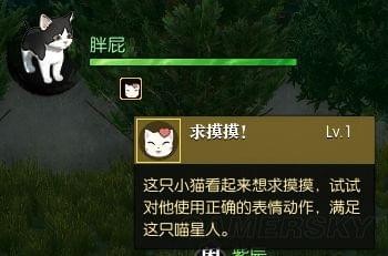 逆水寒大宋铲屎官称号怎么得 逆水寒怎么提升小猫好感度