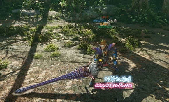 怪物猎人ol大刀鸟切怎么样 大刀鸟切属性外观说明
