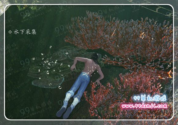 天涯明月刀潜水按键操作方法 怎么下潜上浮采集
