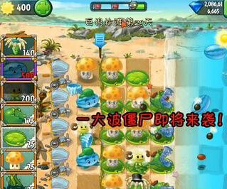 植物大战僵尸2中文版巨浪沙滩第29天图文攻略