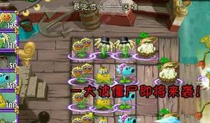 植物大战僵尸2轻松过暴走雪人困难模式攻略