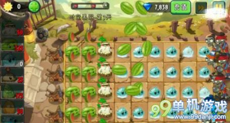 植物大战僵尸2中文版功夫世界时空黑洞第3天过关攻略