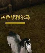 上古世纪坐骑马怎么获得?上古世纪坐骑怎么培养?