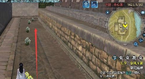 天涯明月刀七夕木材小石竹在哪儿？木材小石竹位置坐标