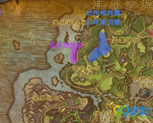 魔兽世界7.0信天翁雏鸟在哪抓 信天翁雏鸟抓捕攻略