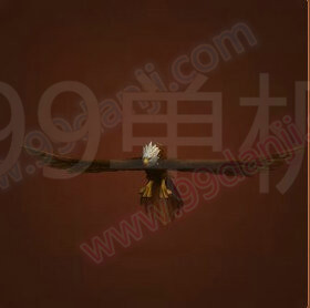 魔兽世界7.0天角雏鹰怎么得 天角雏鹰获得途径详解
