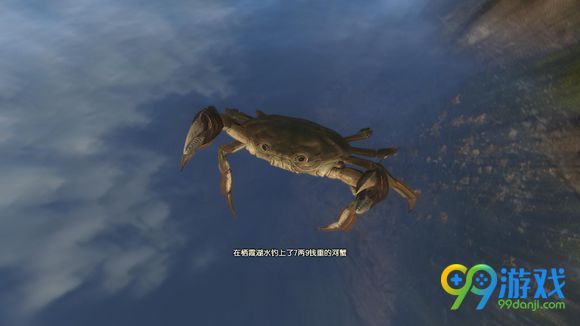 古剑奇谭三全鱼类钓鱼位置分享 古剑奇谭三全鱼类钓鱼信息一览