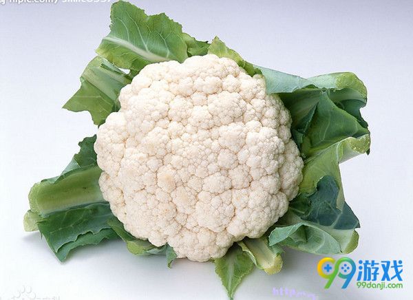 星露谷物语乔迪的菜花怎么获得 乔迪的请求任务