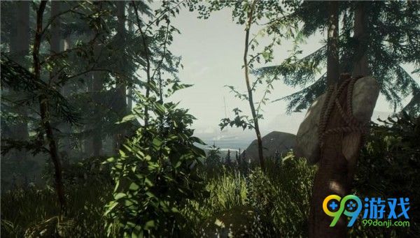 森林TheForest物品合成大全 森林全物品合成表一览