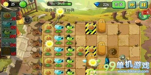 植物大战僵尸2中文版功夫世界第17关攻略