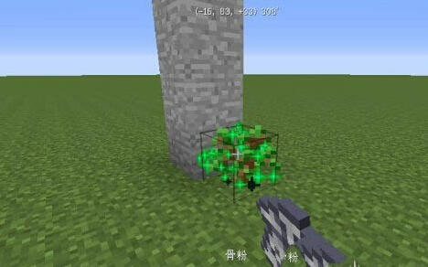 我的世界种出参天大树方法指引