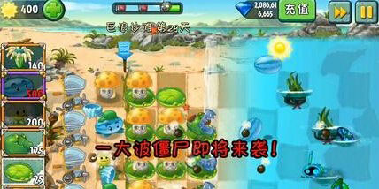 植物大战僵尸2中文版巨浪沙滩第29天攻略
