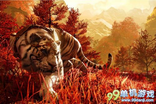 孤岛惊魂4钱包怎么升级 钱包升级材料一览