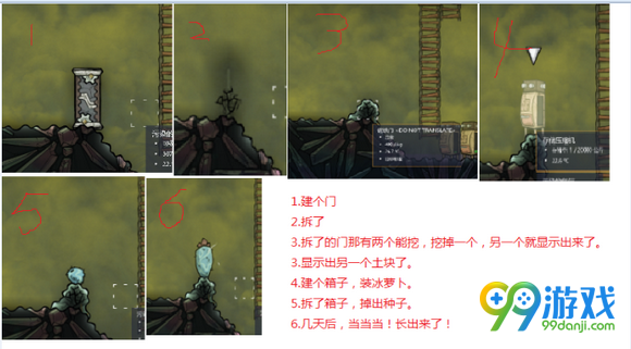 缺氧冰萝卜怎么种植 冰萝卜种植方法分享