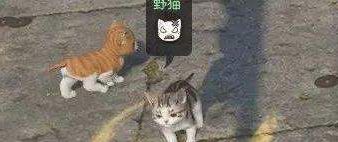 逆水寒三只小猫在哪里 逆水寒三只小猫坐标位置分享